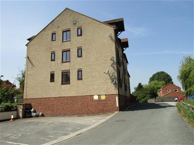 Picture 11